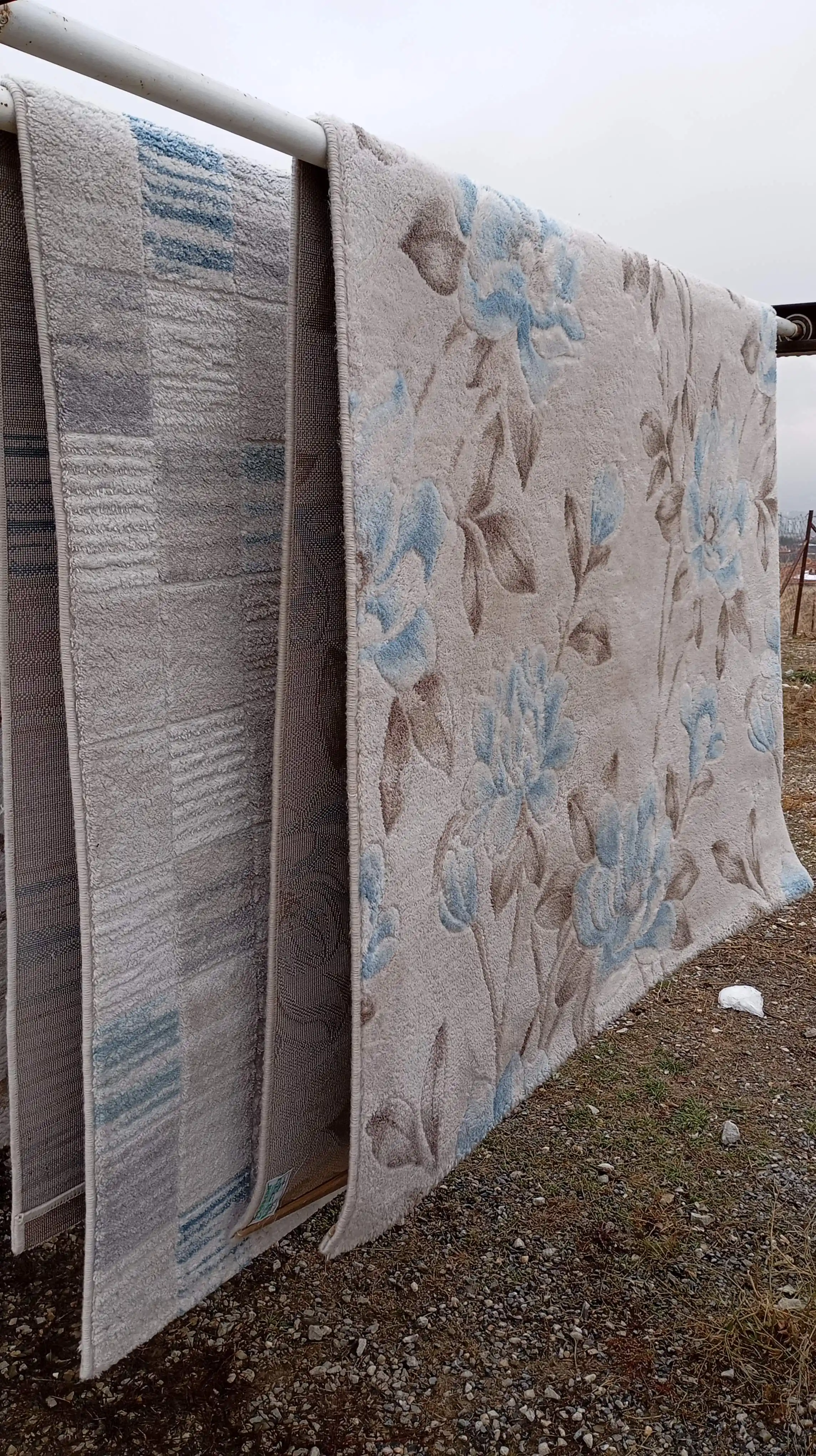 Professional carpet service