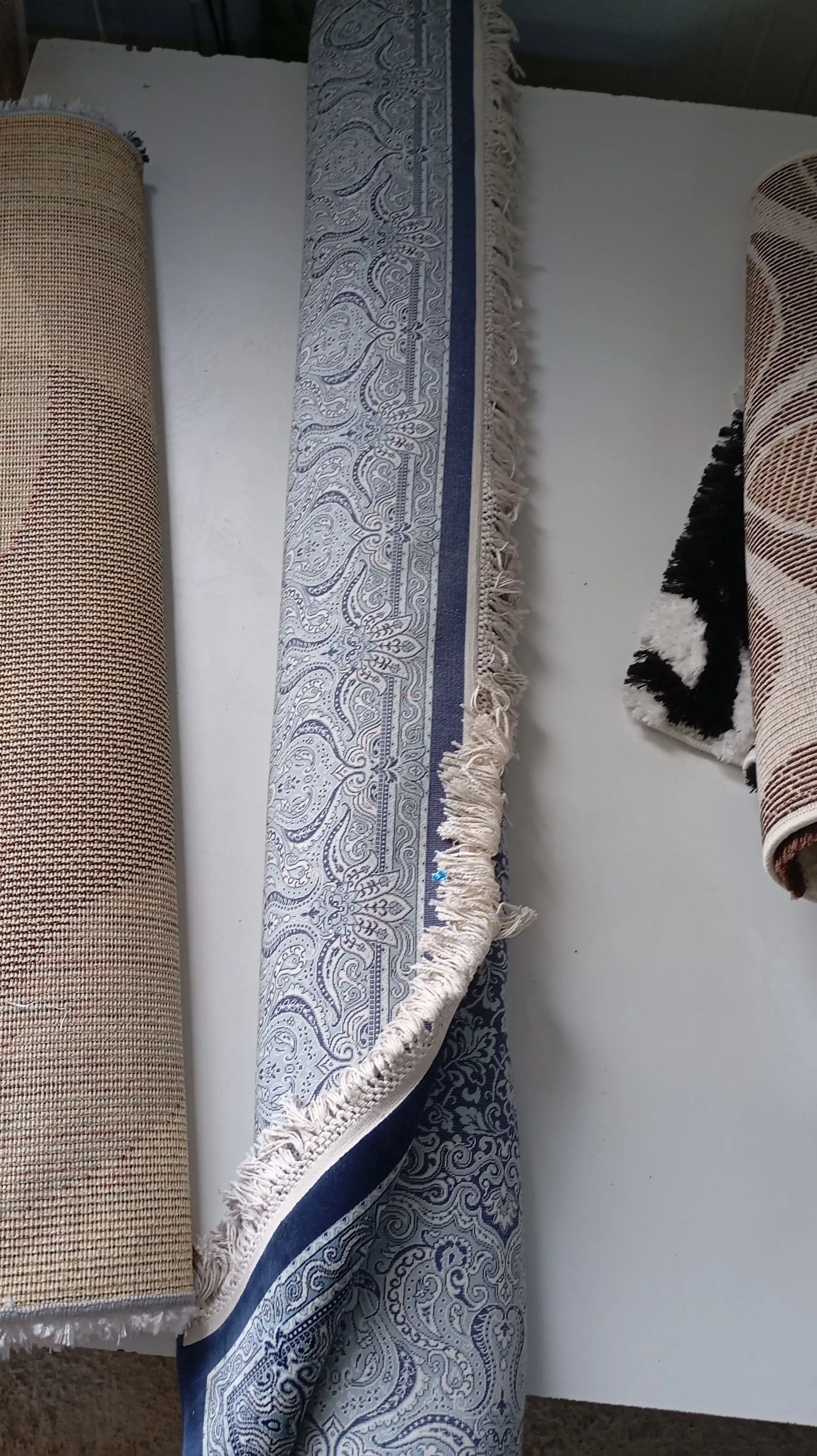 Carpet care professionals