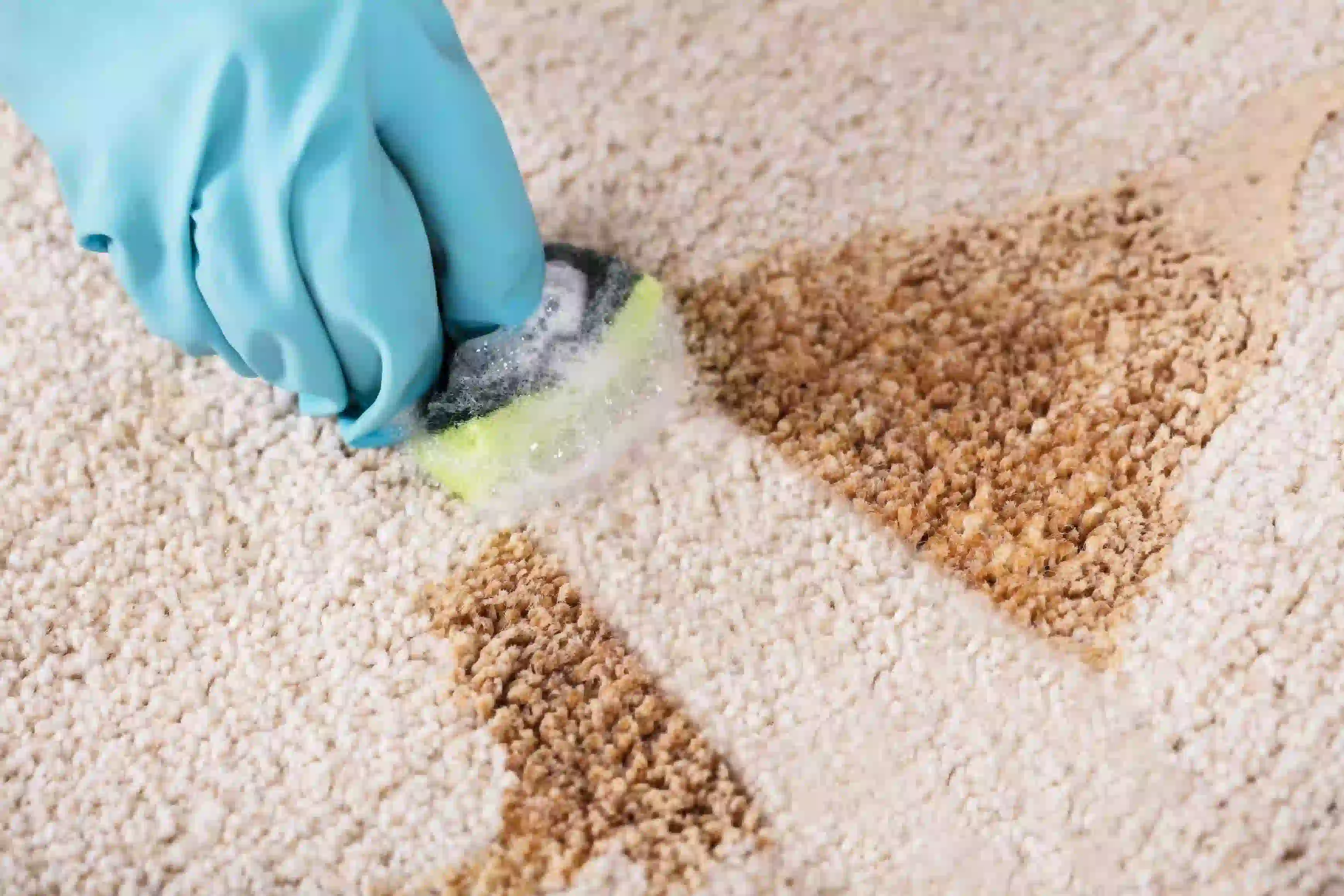 Specialized stain removal service